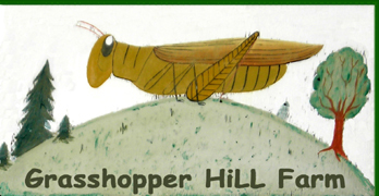 Primitive Image of grasshopper on a hill with the words Grasshopper Hill Farm underneath it.