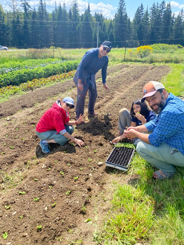 Image of family in garden, planting seedlings.