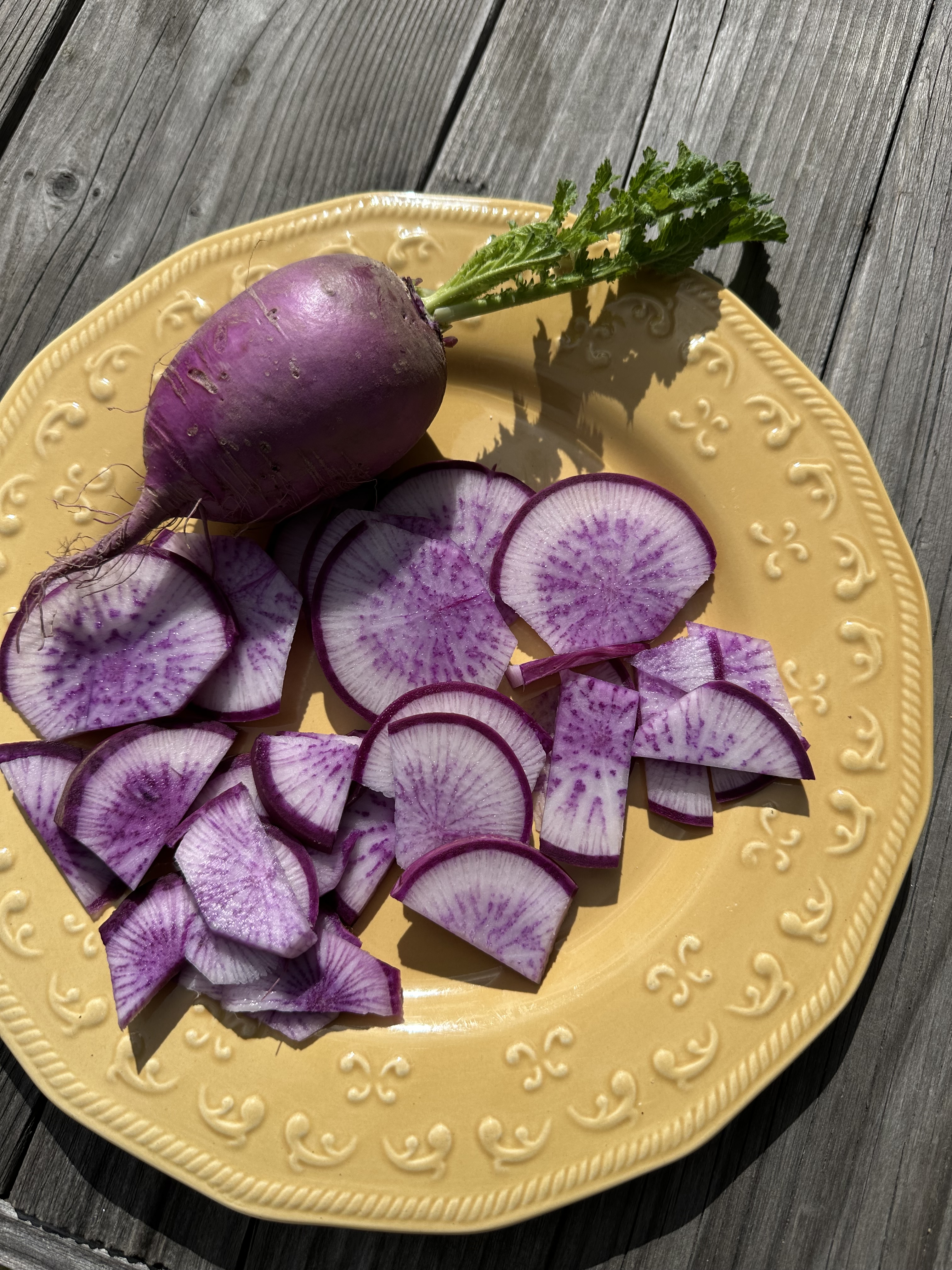 purple daikon radishes